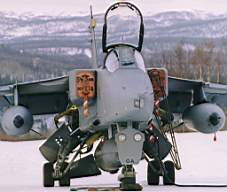 Jaguar with Recce pod.jpg